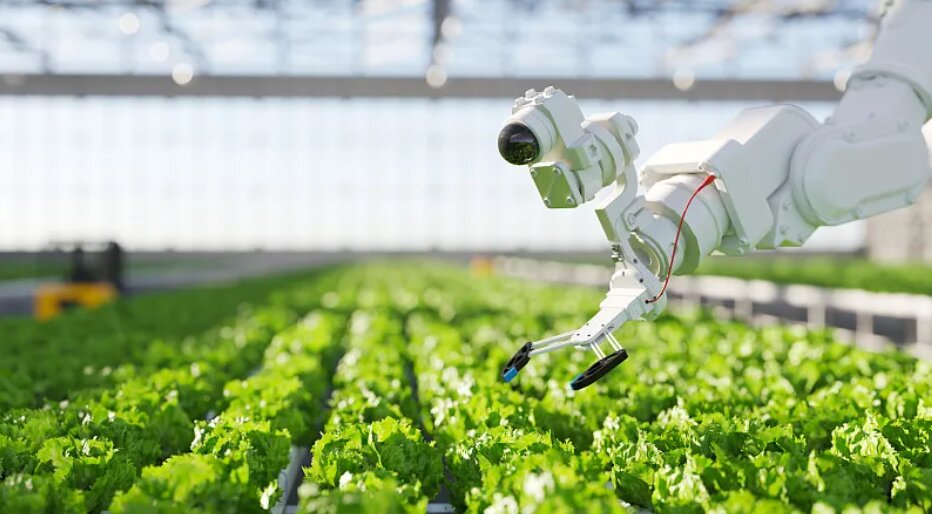 Agriculture